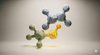 Caffeine + L‑Theanine molecules synergized
