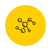 Amino Acids