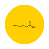 GABAergic