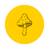 Mushroom Extracts