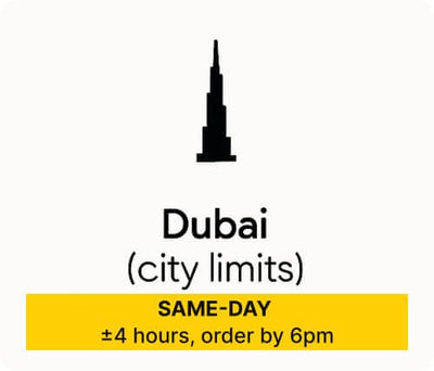 Dubai City — 4 Hours